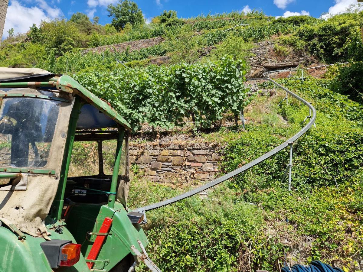 Hotel Weingut Haxel à Commune fusionnée de Cochem-Land Extérieur photo